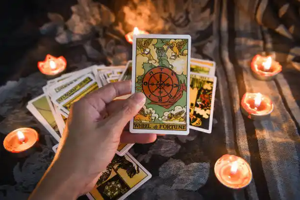 tarot cards Burgaw